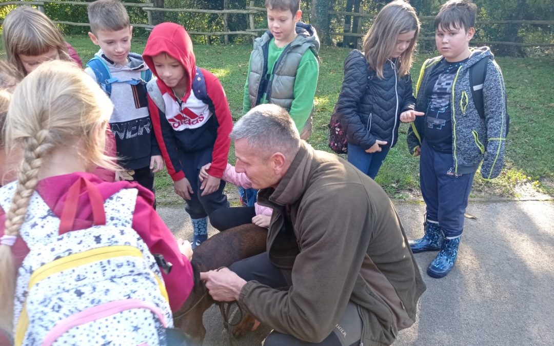 Naravoslovni dan: GOZD, PŠ Adlešiči